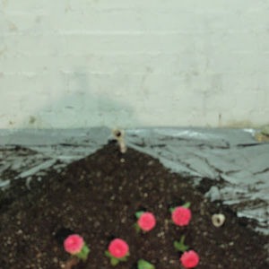 Meet your Posher, Garol